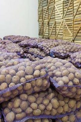 Chế biến Thực phẩm & Nông nghiệp